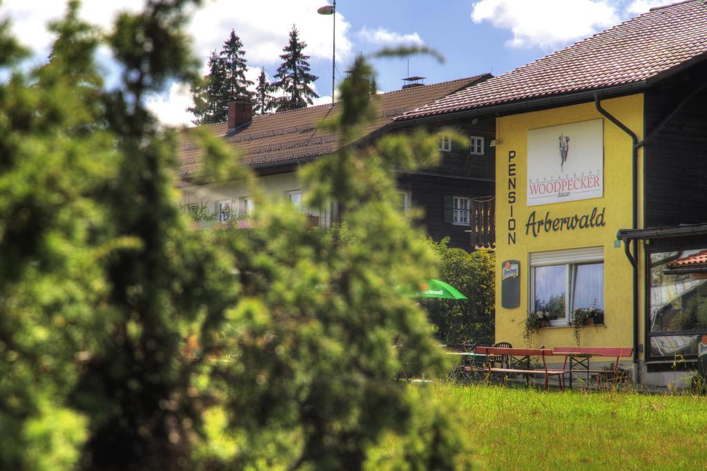 Pension Arberwald Bayerisch Eisenstein Exterior foto